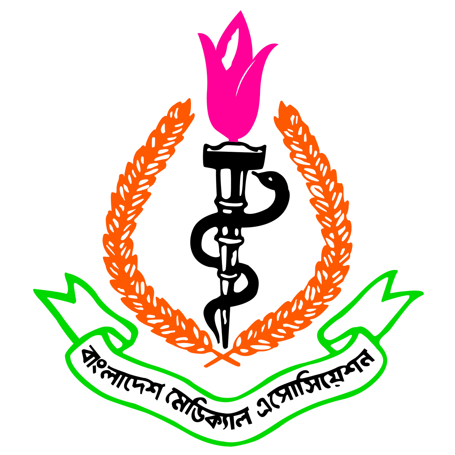 BMA Logo